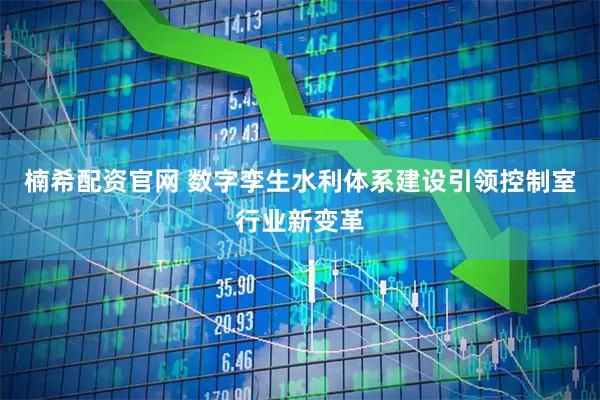 楠希配资官网 数字孪生水利体系建设引领控制室行业新变革