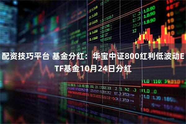 配资技巧平台 基金分红：华宝中证800红利低波动ETF基金10月24日分红