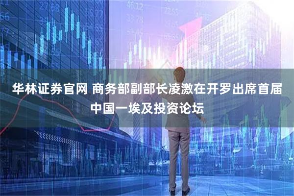 华林证券官网 商务部副部长凌激在开罗出席首届中国一埃及投资论坛