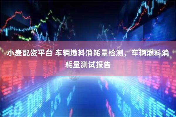 小麦配资平台 车辆燃料消耗量检测，车辆燃料消耗量测试报告