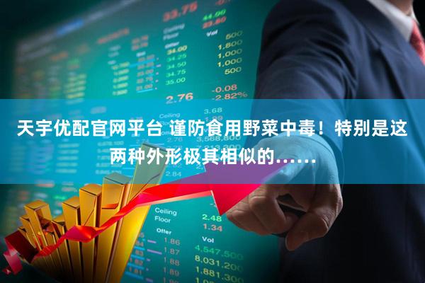 天宇优配官网平台 谨防食用野菜中毒！特别是这两种外形极其相似的……